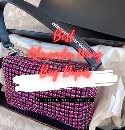 Best Alexander Wang Bag Dupes  For 2025