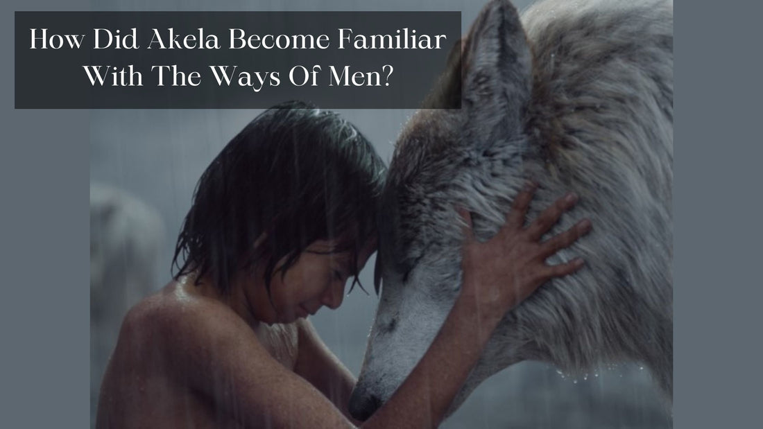 How Did Akela Become Familiar With The Ways Of Men