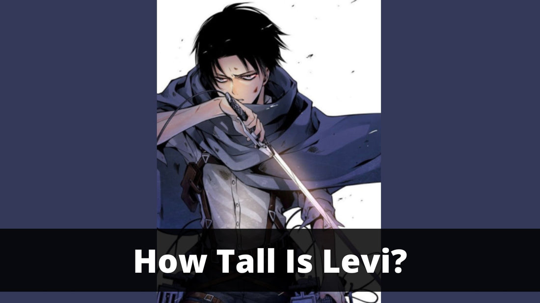 How Tall Is Levi?