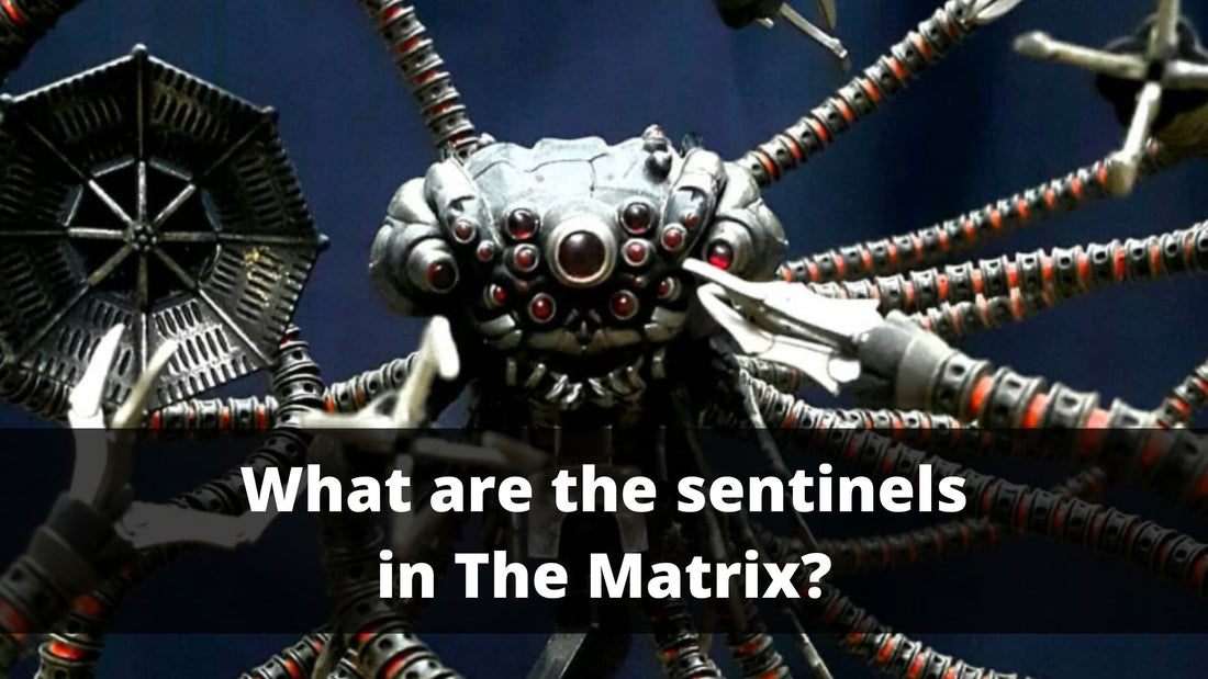 What are the sentinels in The Matrix