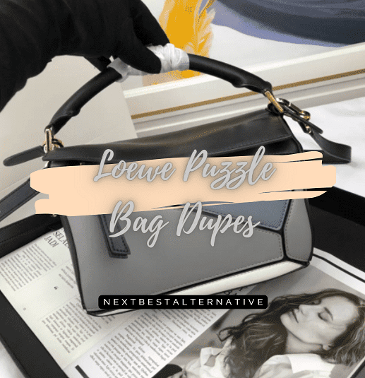 Best Loewe Puzzle Bag Dupes