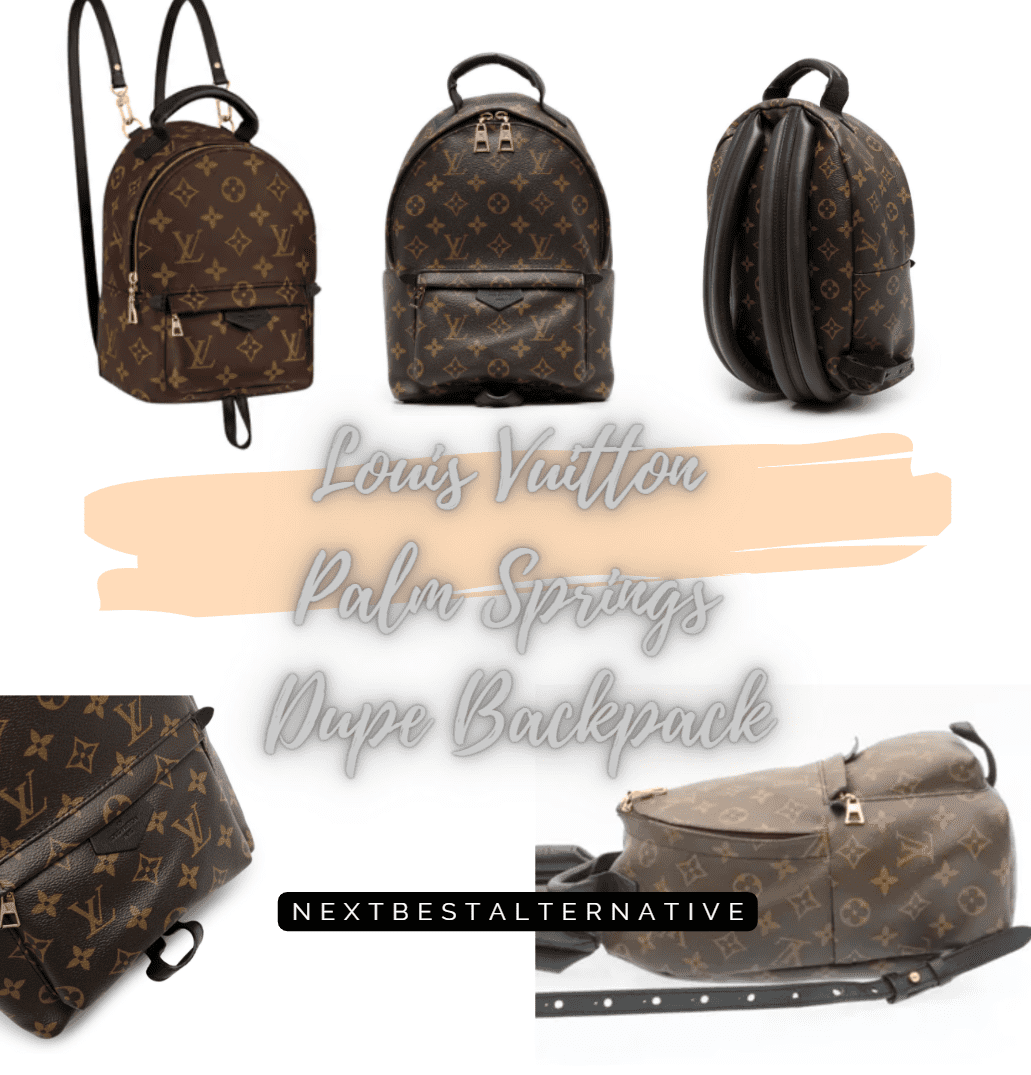 Louis Vuitton Palm Springs Dupe Backpack 2024