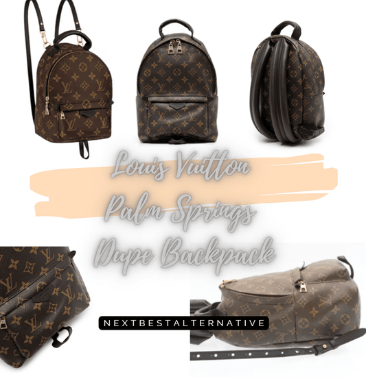 Louis Vuitton Palm Springs Dupe Backpack