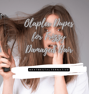 Olaplex Alternatives Frizzy Damaged Hair,