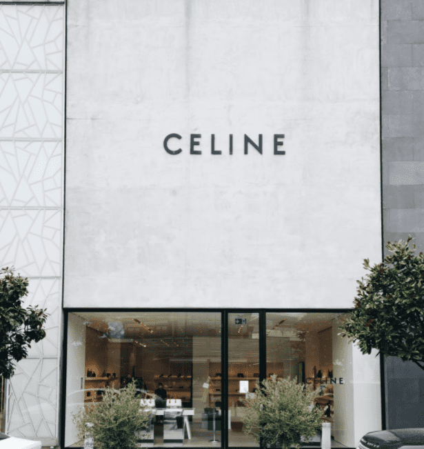 Best Celine Bag Dupes 2024